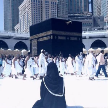 دينا عبدالجواد